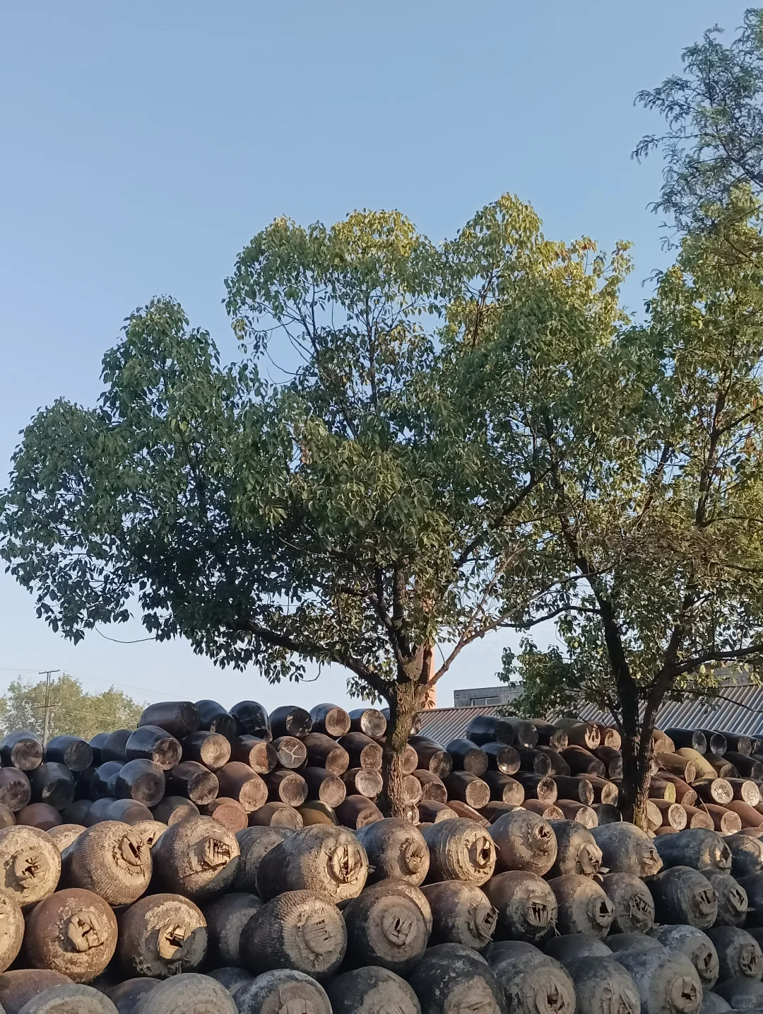 循迹探韵——徽州赏酒之旅