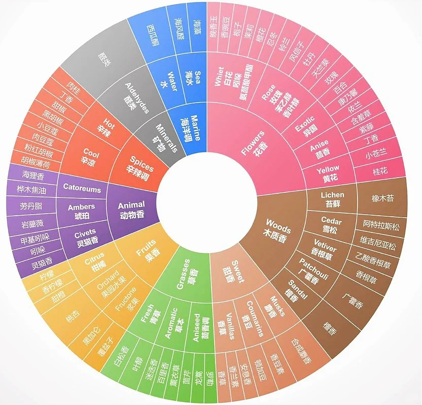 JCE调香大师的气味分类体系