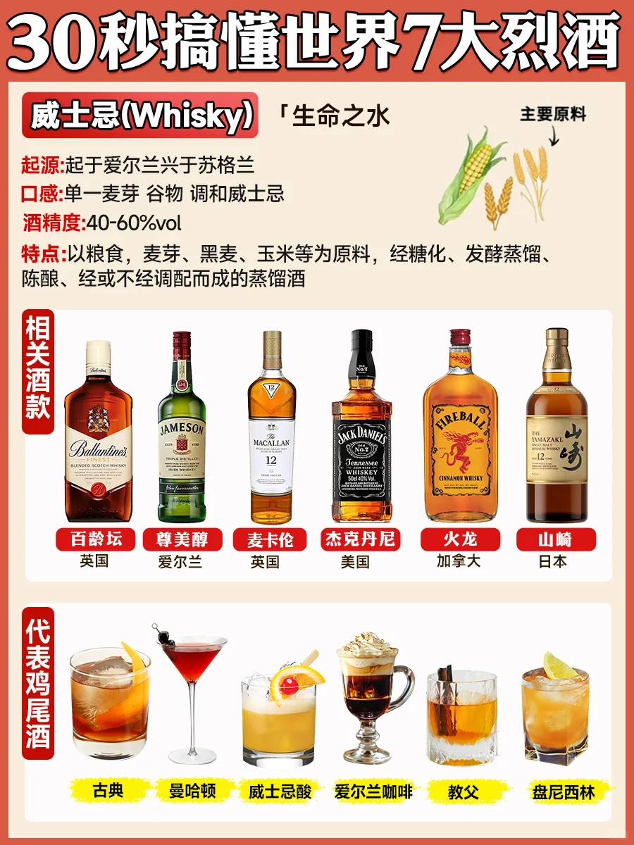 30秒搞懂世界7大烈酒 新手调酒必懂