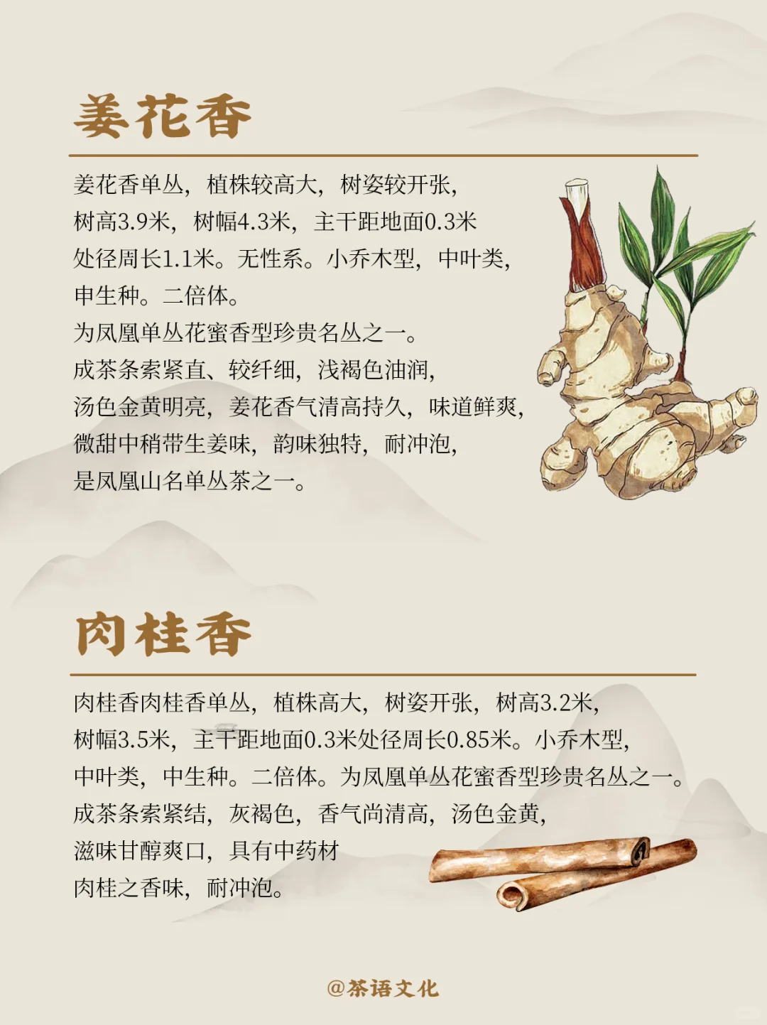 茶中香水|看完秒懂凤凰单丛十大香型！