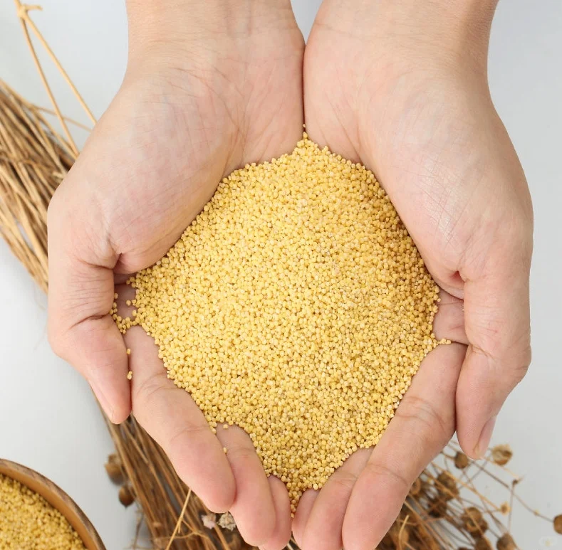 来邯郸必带的特产，送长辈绝不会出错！