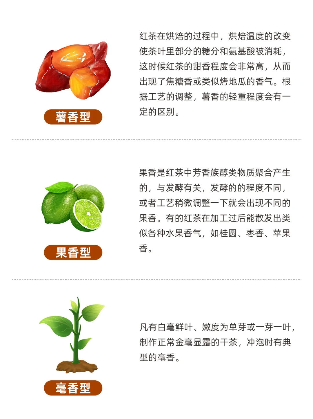 红茶有9种常见香型，你喝的红茶是什么香？