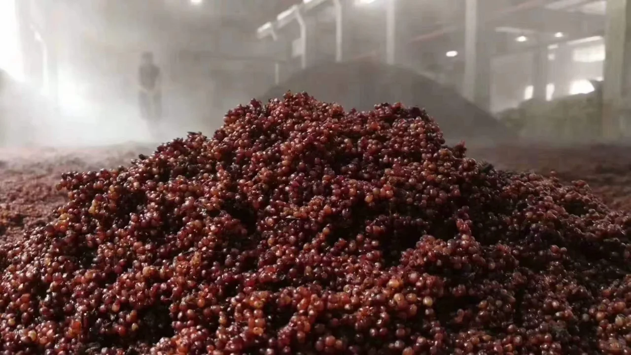 酱酒中的坤沙酒是什么？