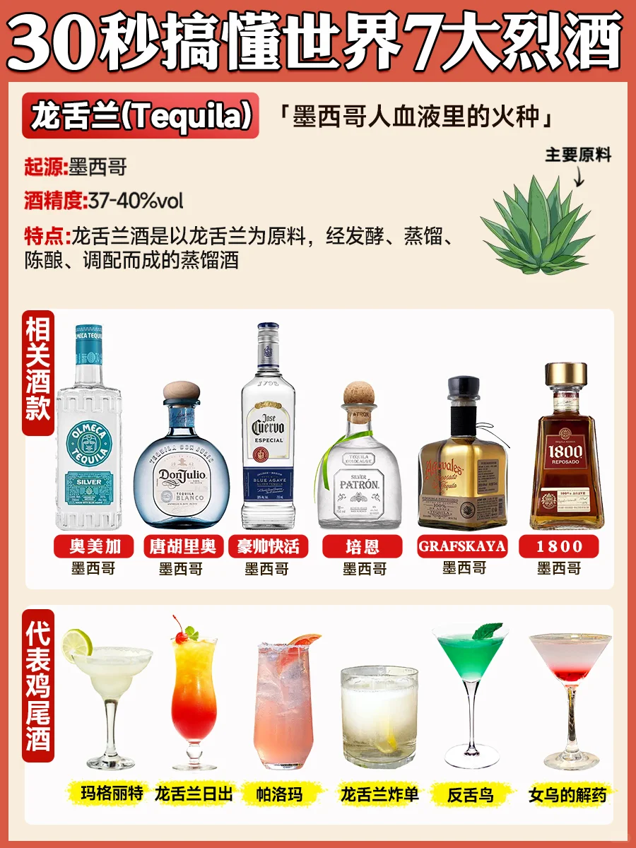 30秒搞懂世界7大烈酒 新手调酒必懂