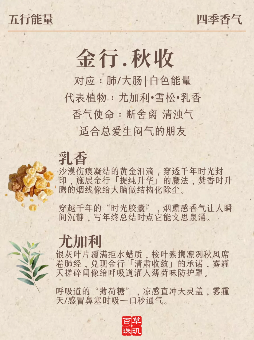 五行香气→四季香味提升你的能量场