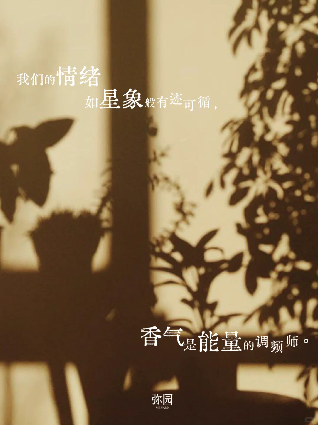 选香攻略｜你知道星座也有对应的专属香气吗？