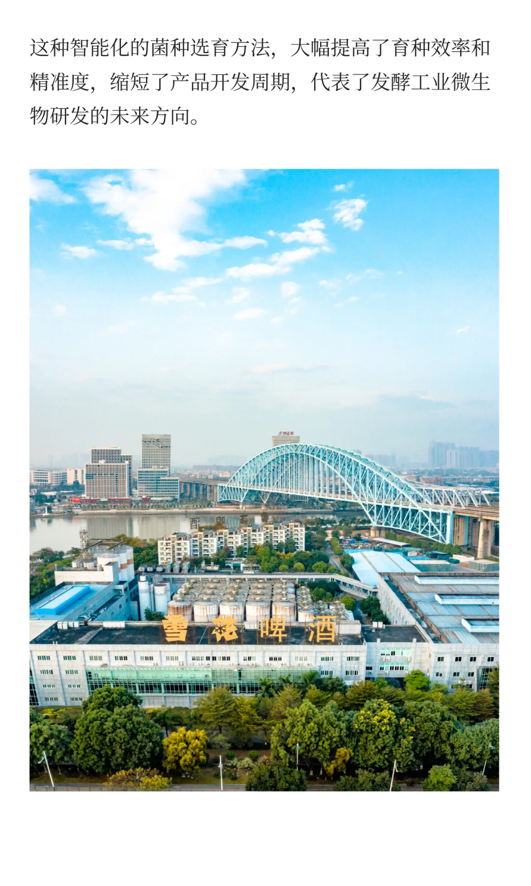 从窖泥生态到AI酿造，科技如何重塑发酵？