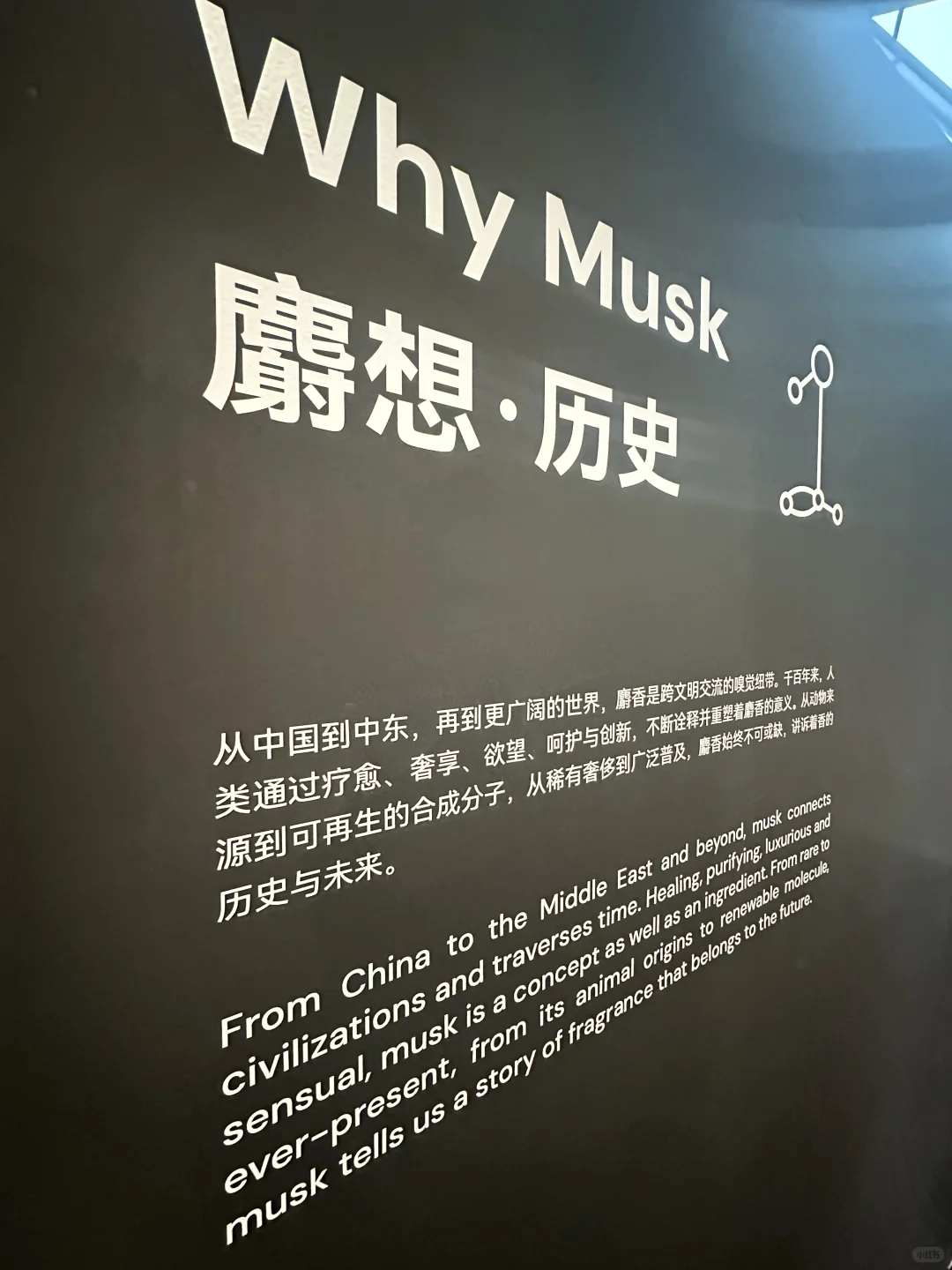 ✨气味上海 2025｜产业的创新与未来趋势?