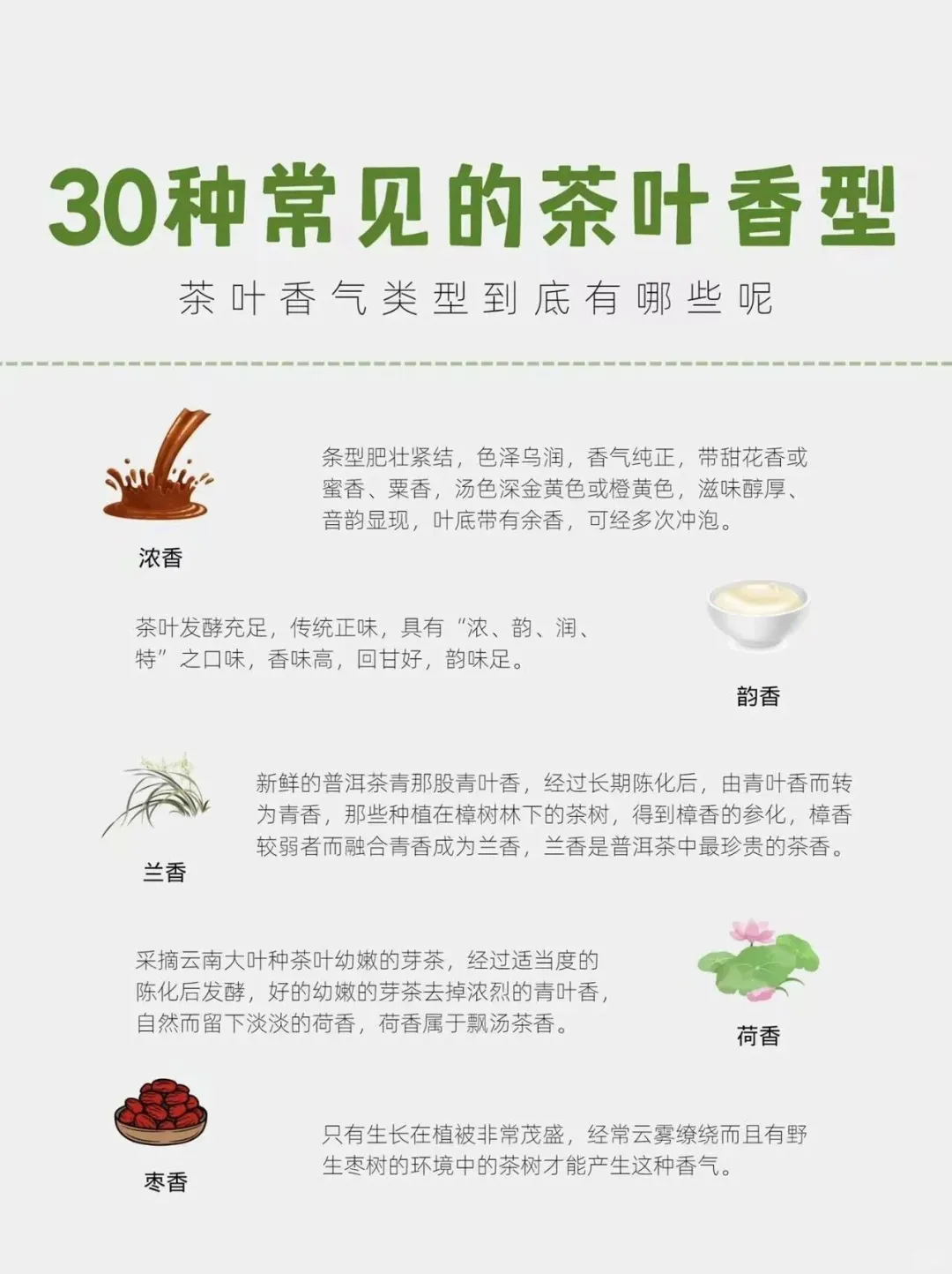 茶知识｜30种常见的茶叶香型，你知道多少