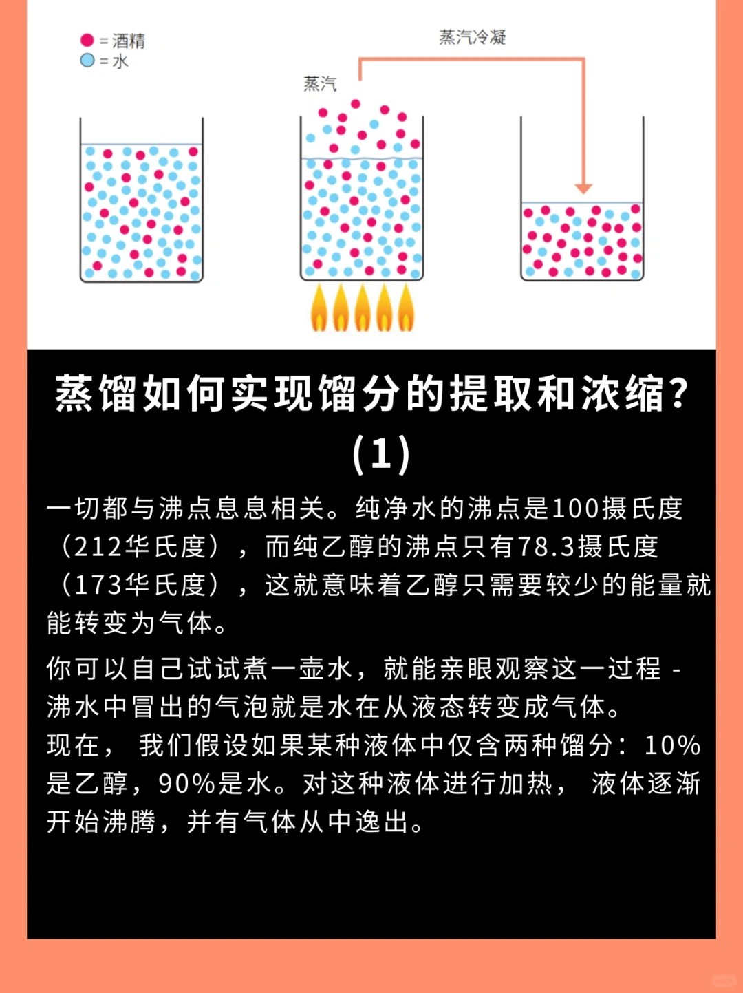 烈酒系列 | 解读蒸馏工艺的神奇力量