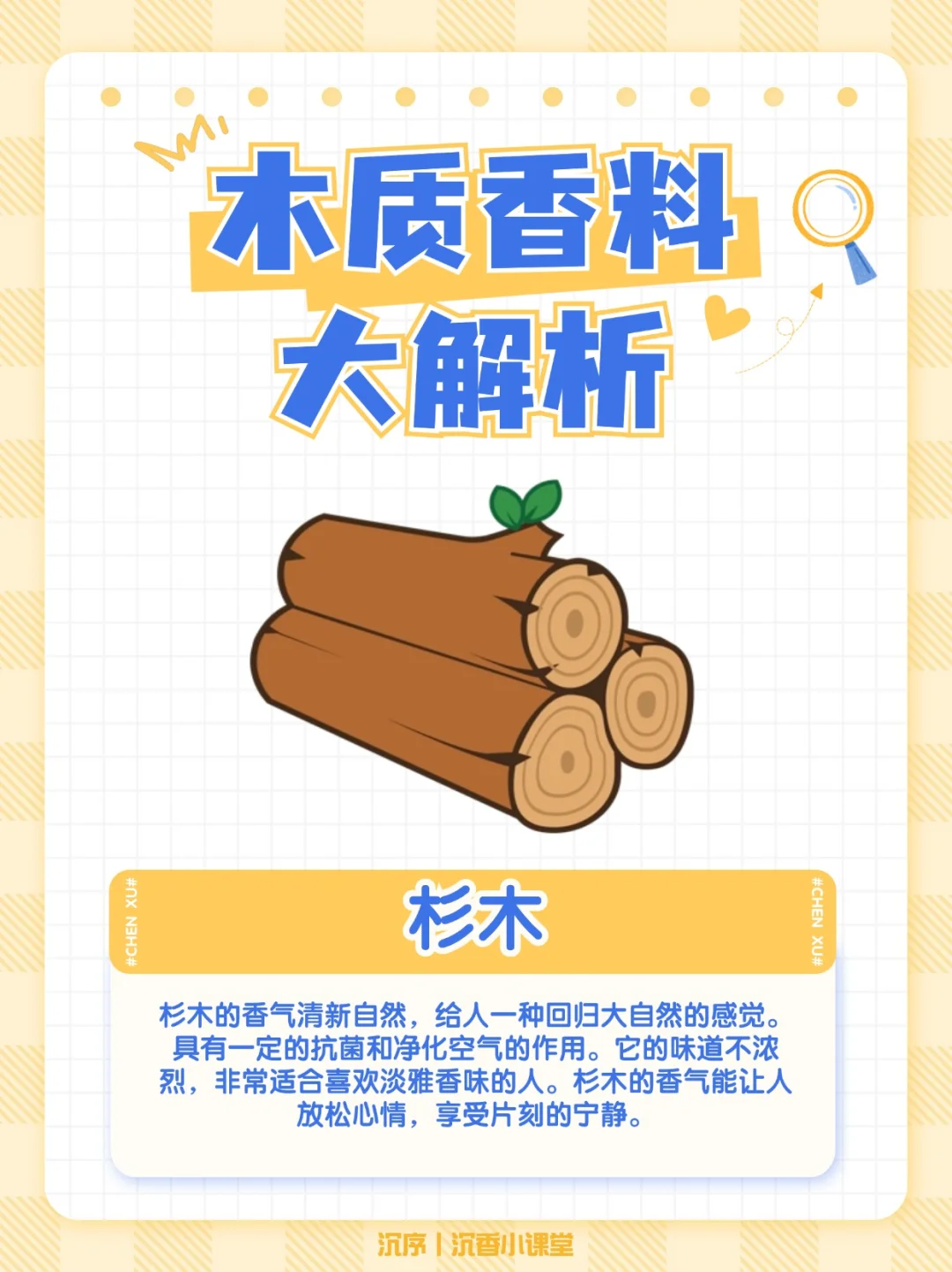 木质香料指南：常见的木质香你知道几种？