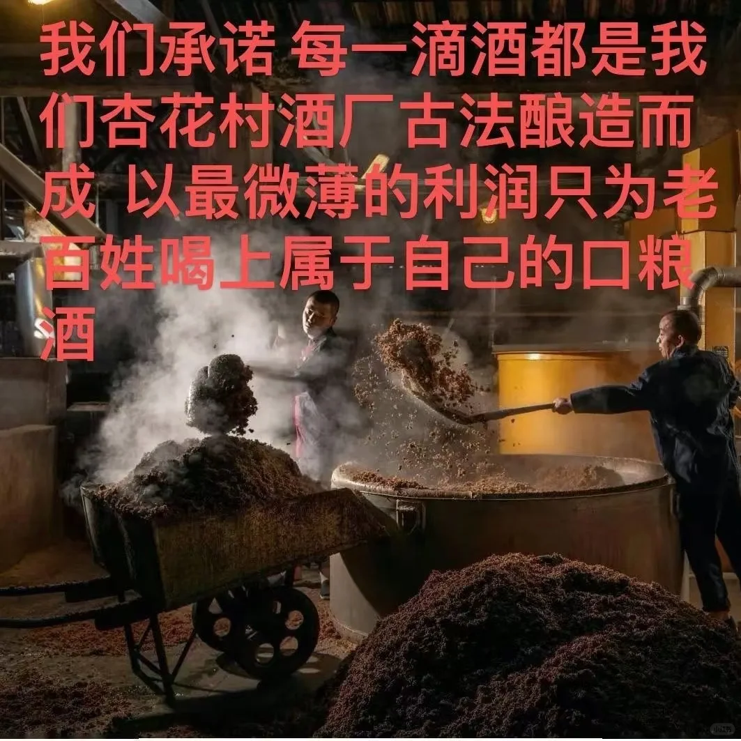 杏花村散酒｜百元内性价比之王，资深酒友私