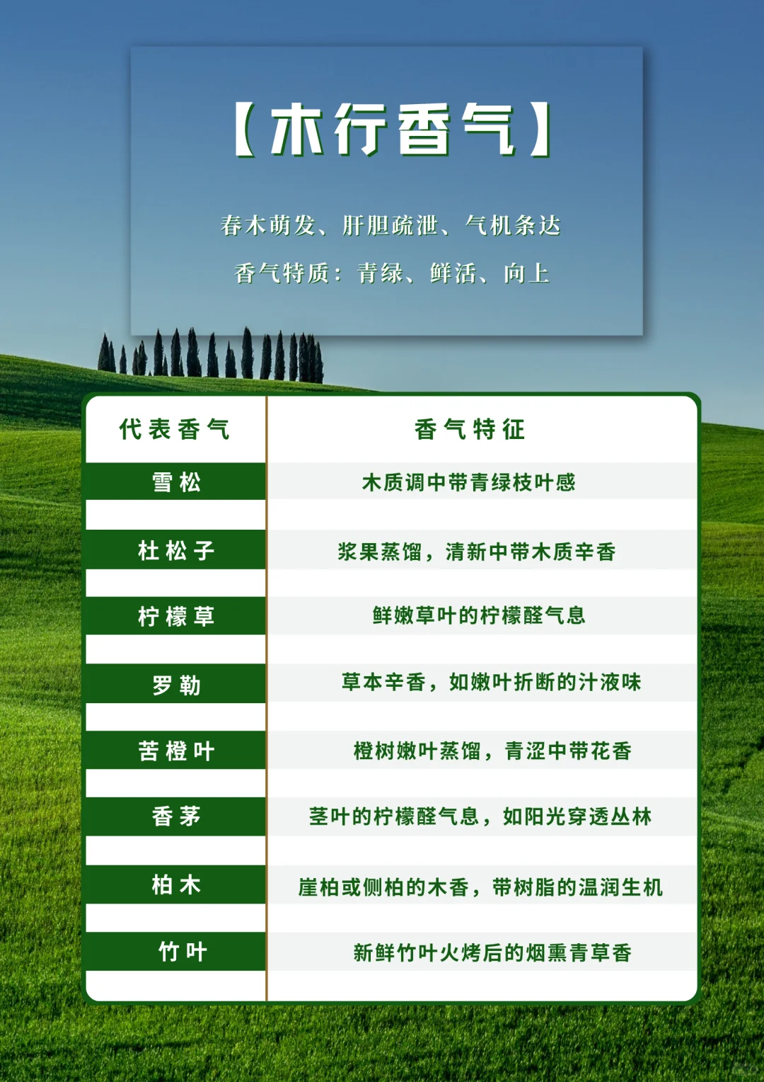 一张表看明白：五行适配的植物香气清单