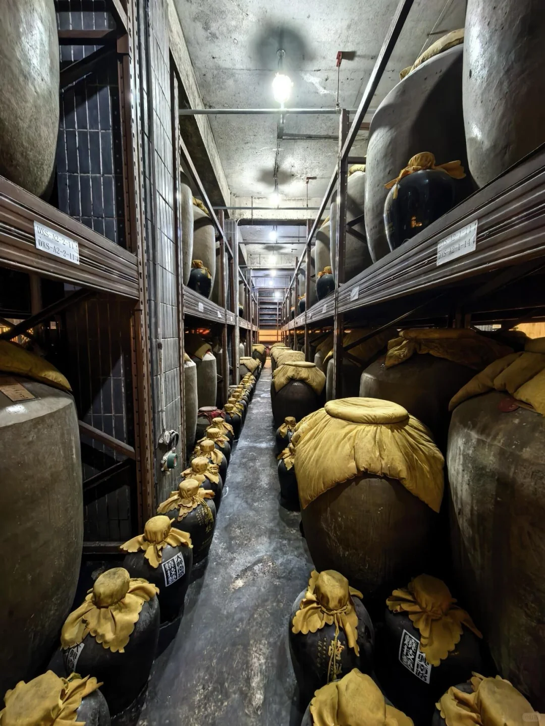 博物馆逛了，美章盖了，白酒送了✌️