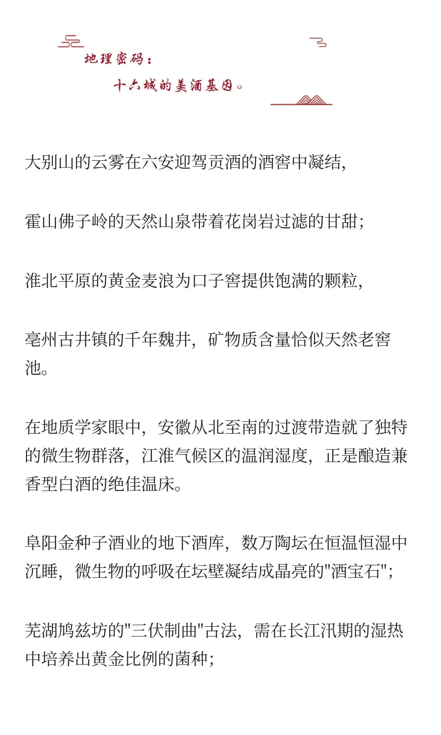 在安徽，读懂中国千年酒脉文化。