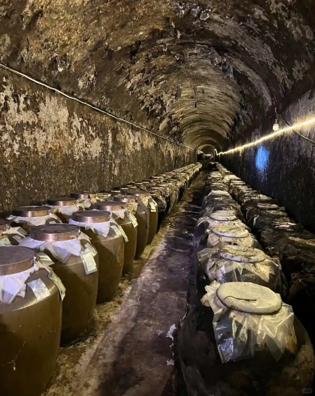 解读浓香型川酒不可仿制之秘