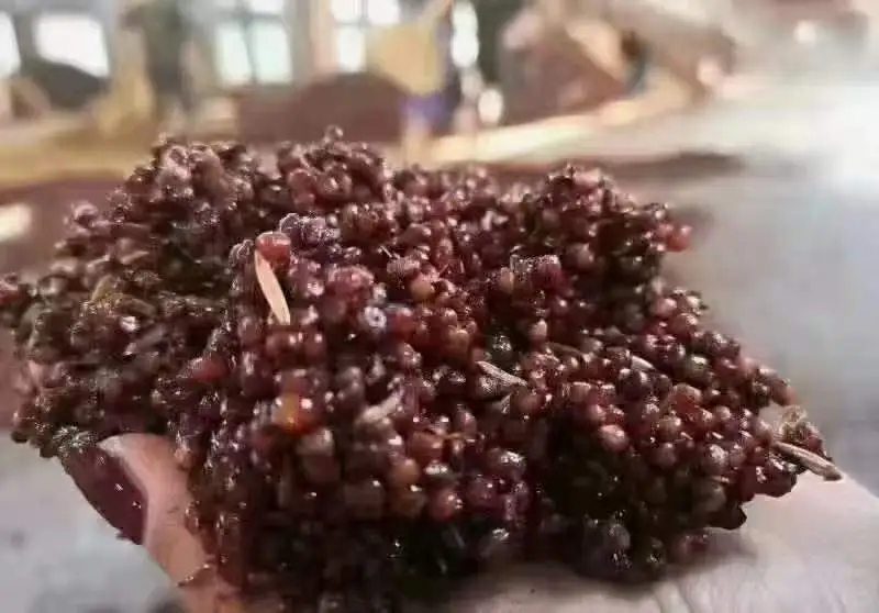 酱酒中的坤沙酒是什么？