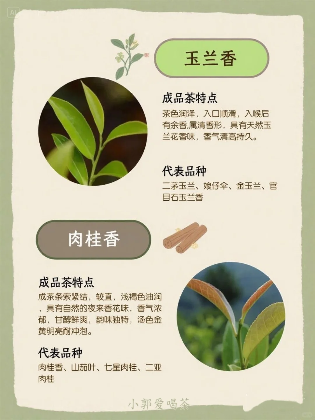 ? 一张图看懂凤凰单枞十大香型！