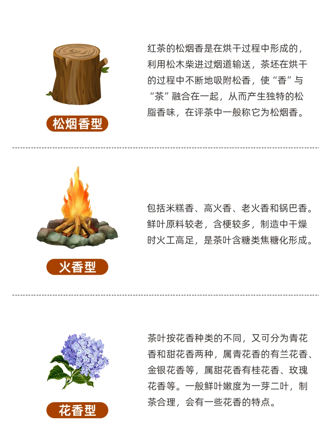 红茶有9种常见香型，你喝的红茶是什么香？