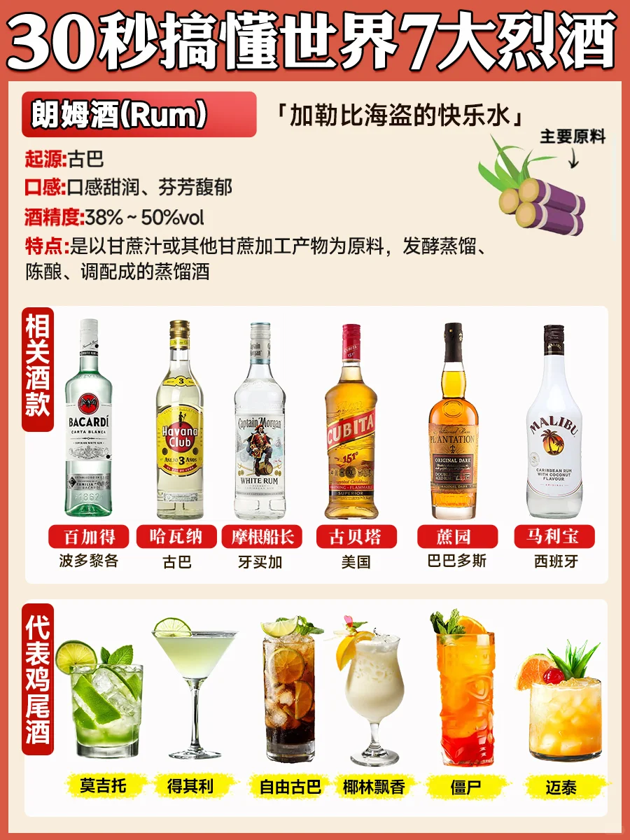 30秒搞懂世界7大烈酒 新手调酒必懂
