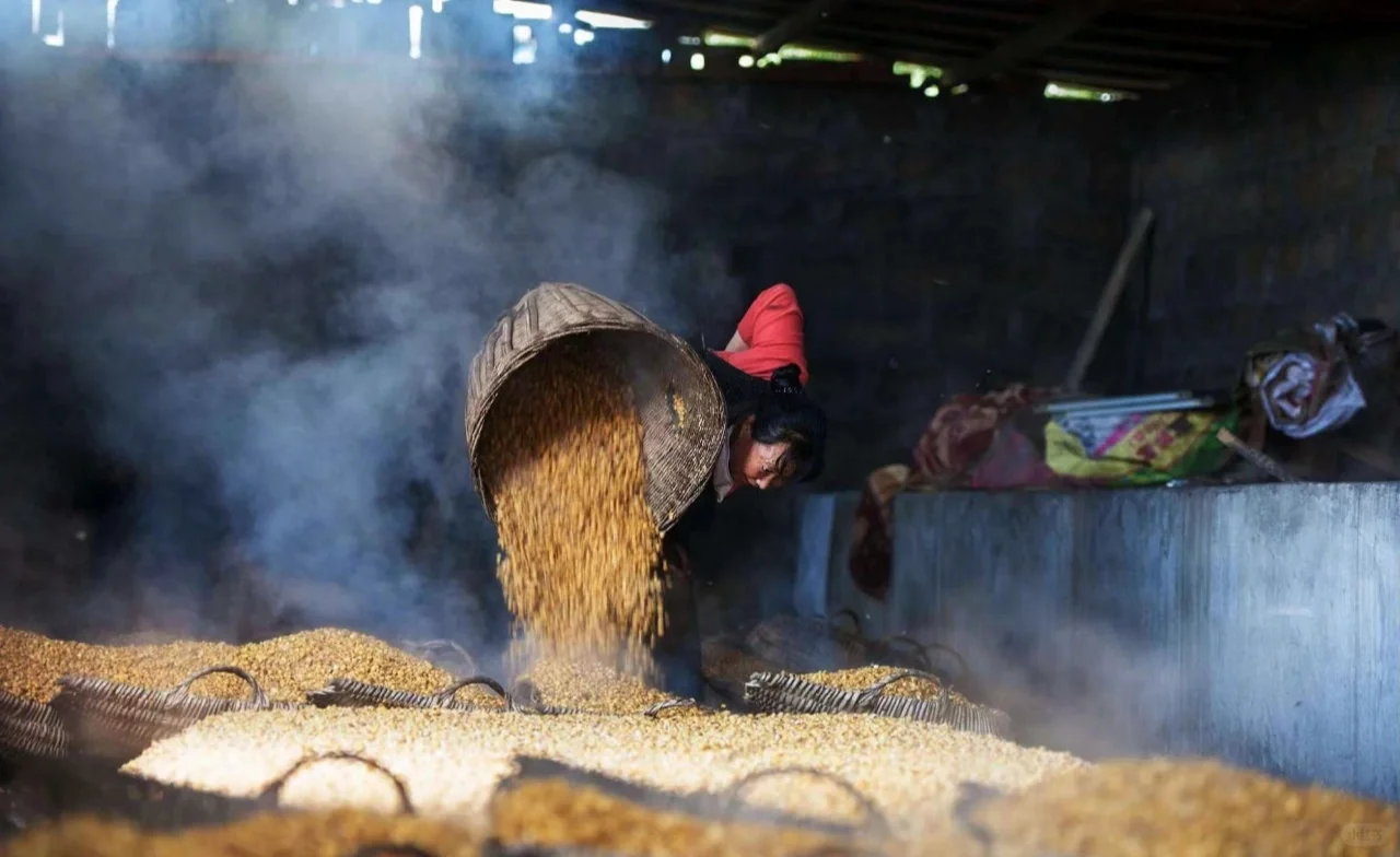 坤沙酒酿造工艺及口感