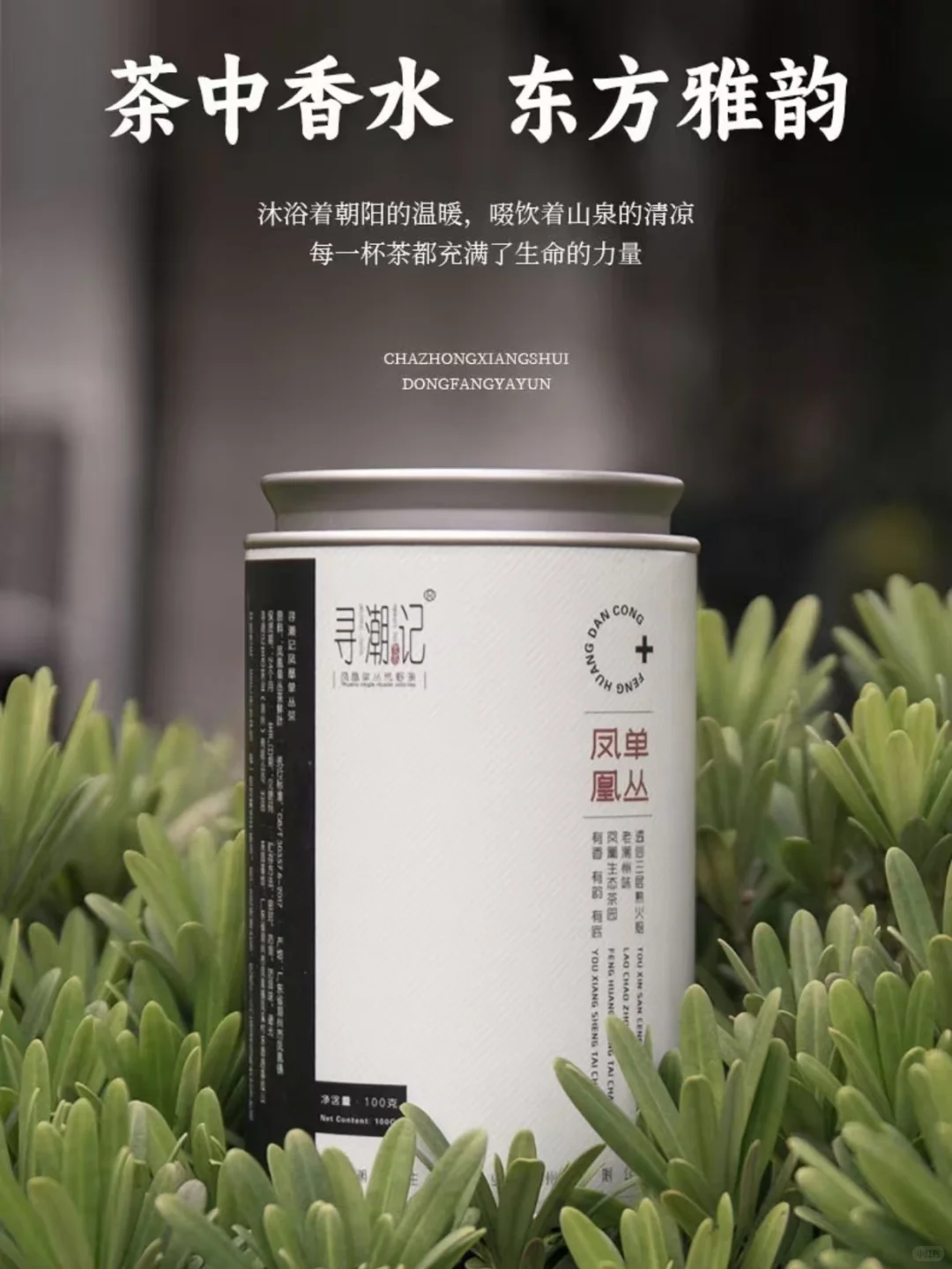 茶中香水|看完秒懂凤凰单丛十大香型！