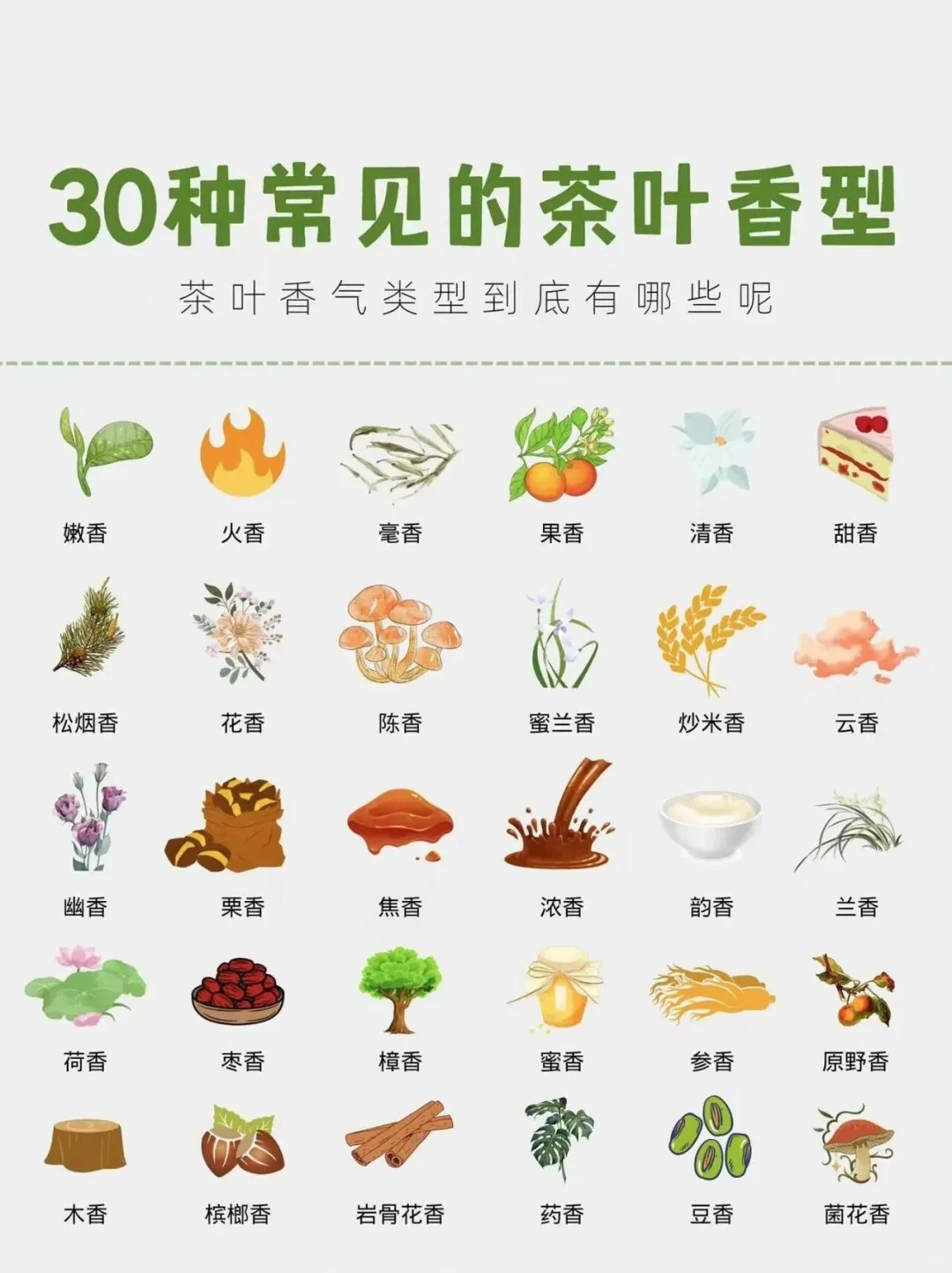 茶知识｜30种常见的茶叶香型，你知道多少