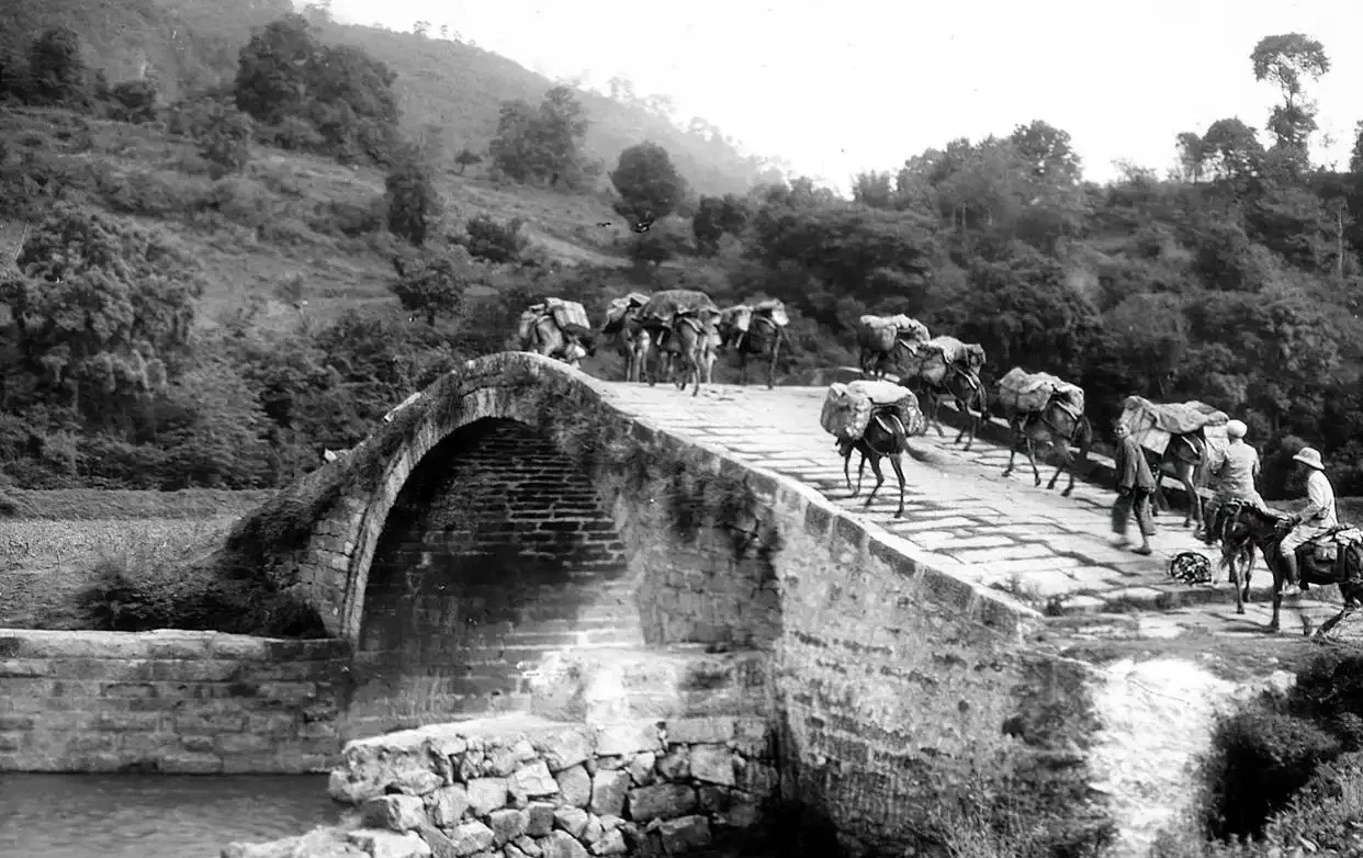川盐进贵，带动酱酒发展