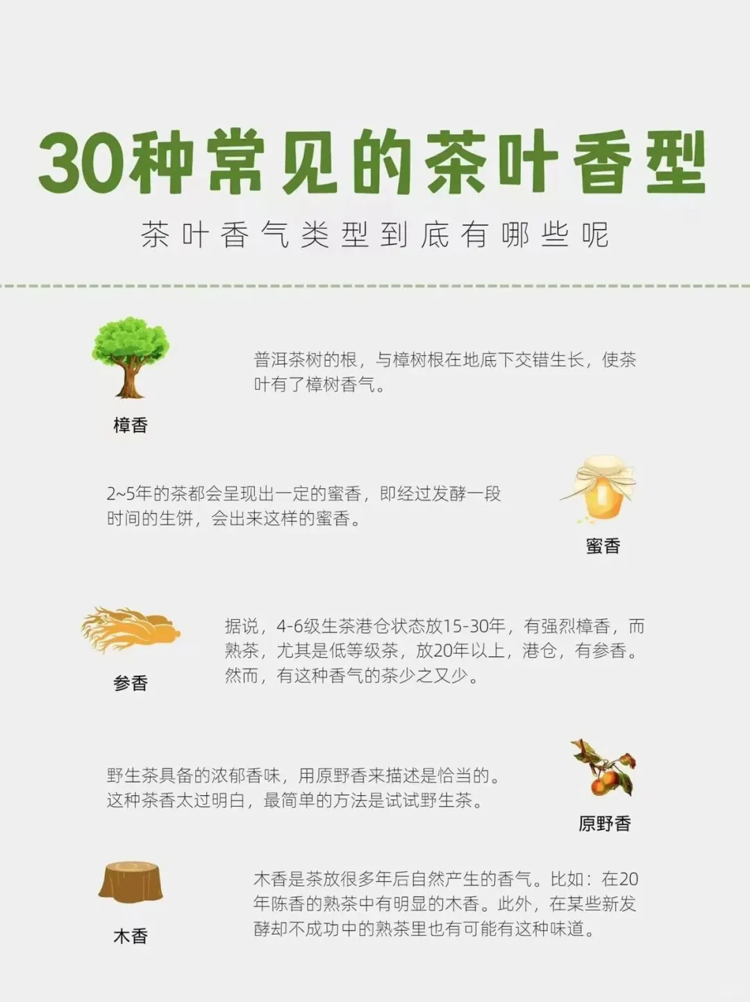 茶知识｜30种常见的茶叶香型，你知道多少
