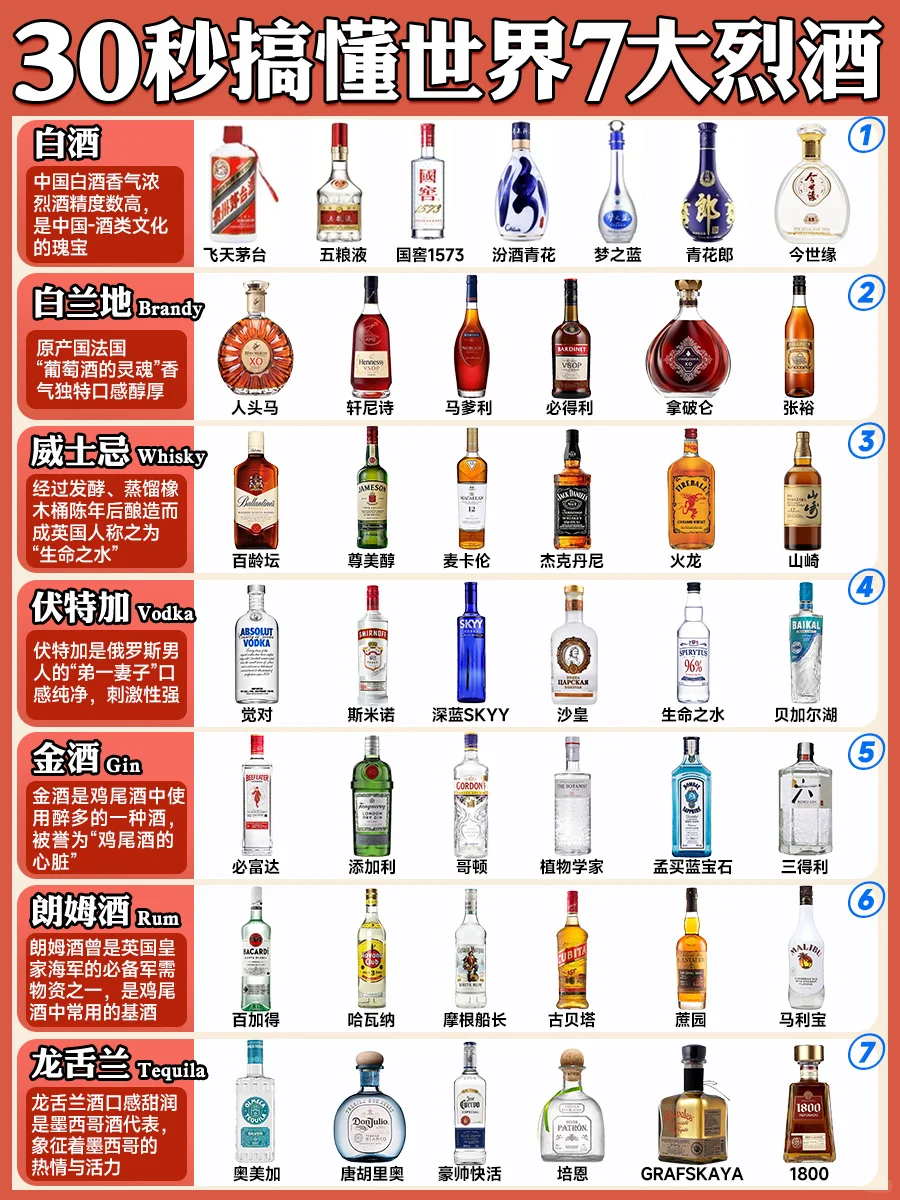 30秒搞懂世界7大烈酒 新手调酒必懂