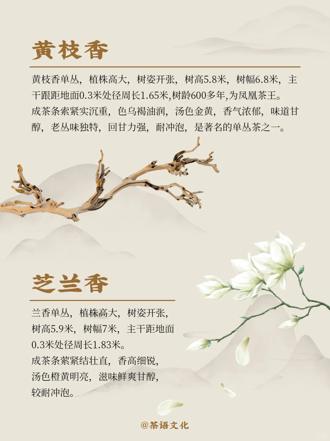 茶中香水|看完秒懂凤凰单丛十大香型！