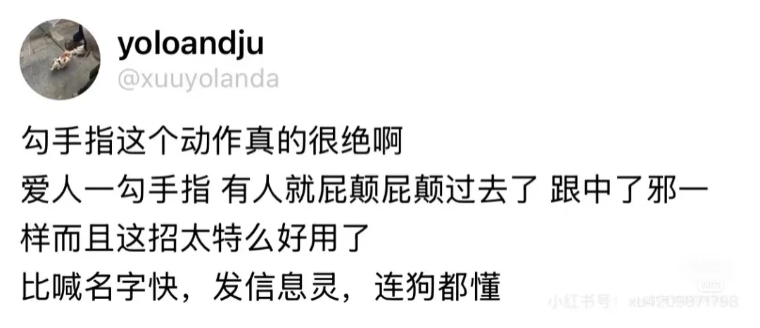 存点代餐文梗以后写5.0