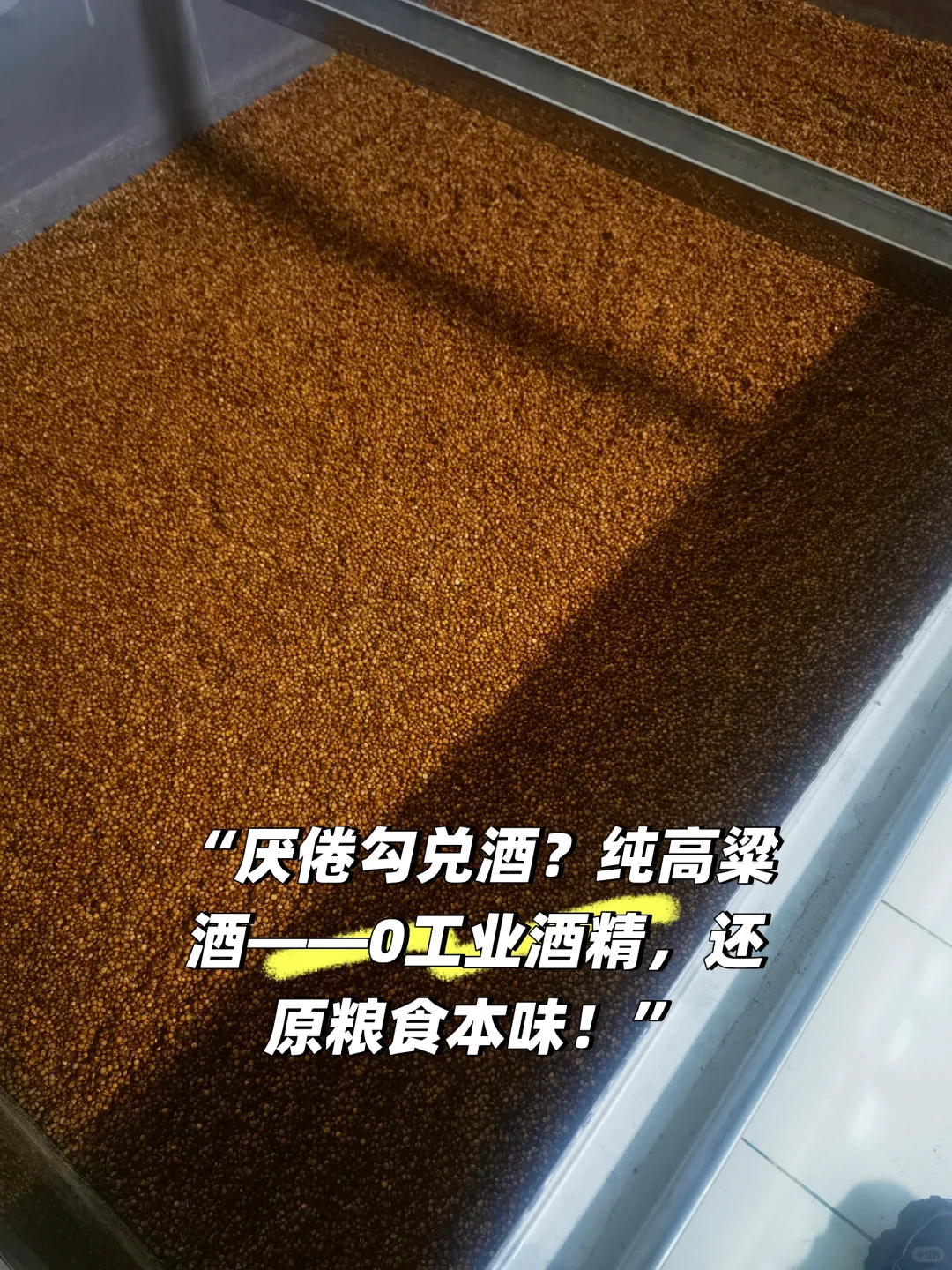 “拒绝勾兑！纯高粱窖藏，每一口都是自然的馈
