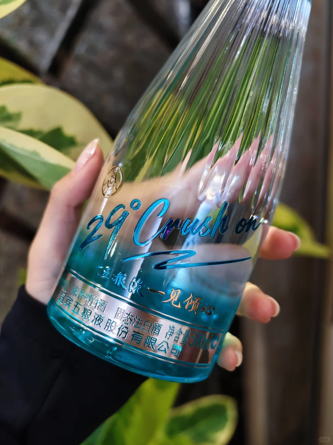 29º五粮液 一见倾心