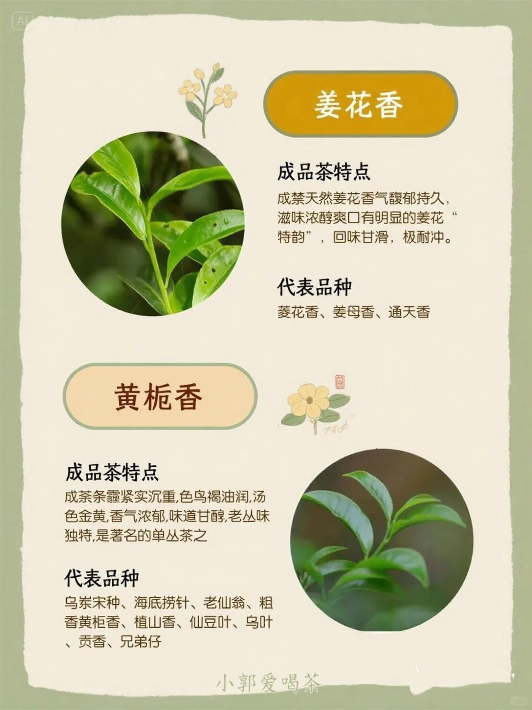 ? 一张图看懂凤凰单枞十大香型！