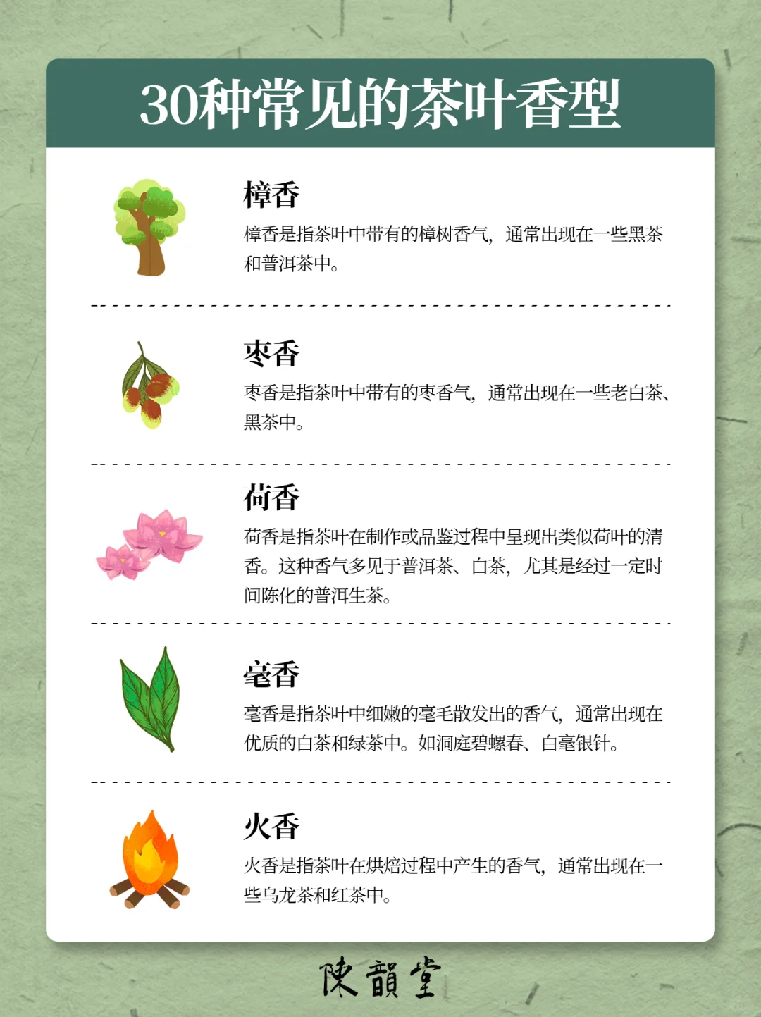 涨知识❗️一张图了解30种常见的茶叶香型