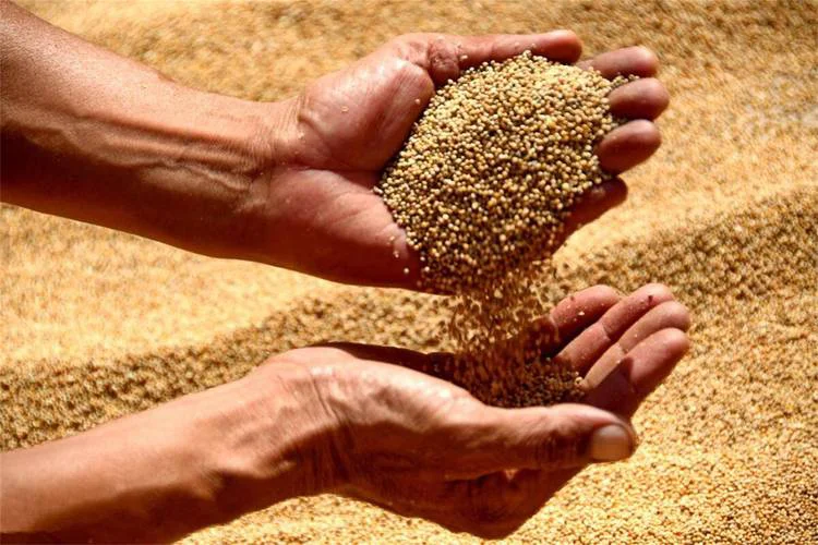 尧舜酒业-白酒的制作过程