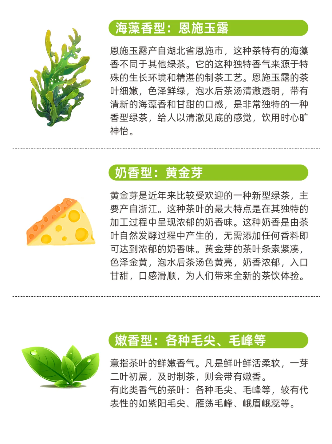 常见绿茶9大经典香型 哪款是你的心头好？