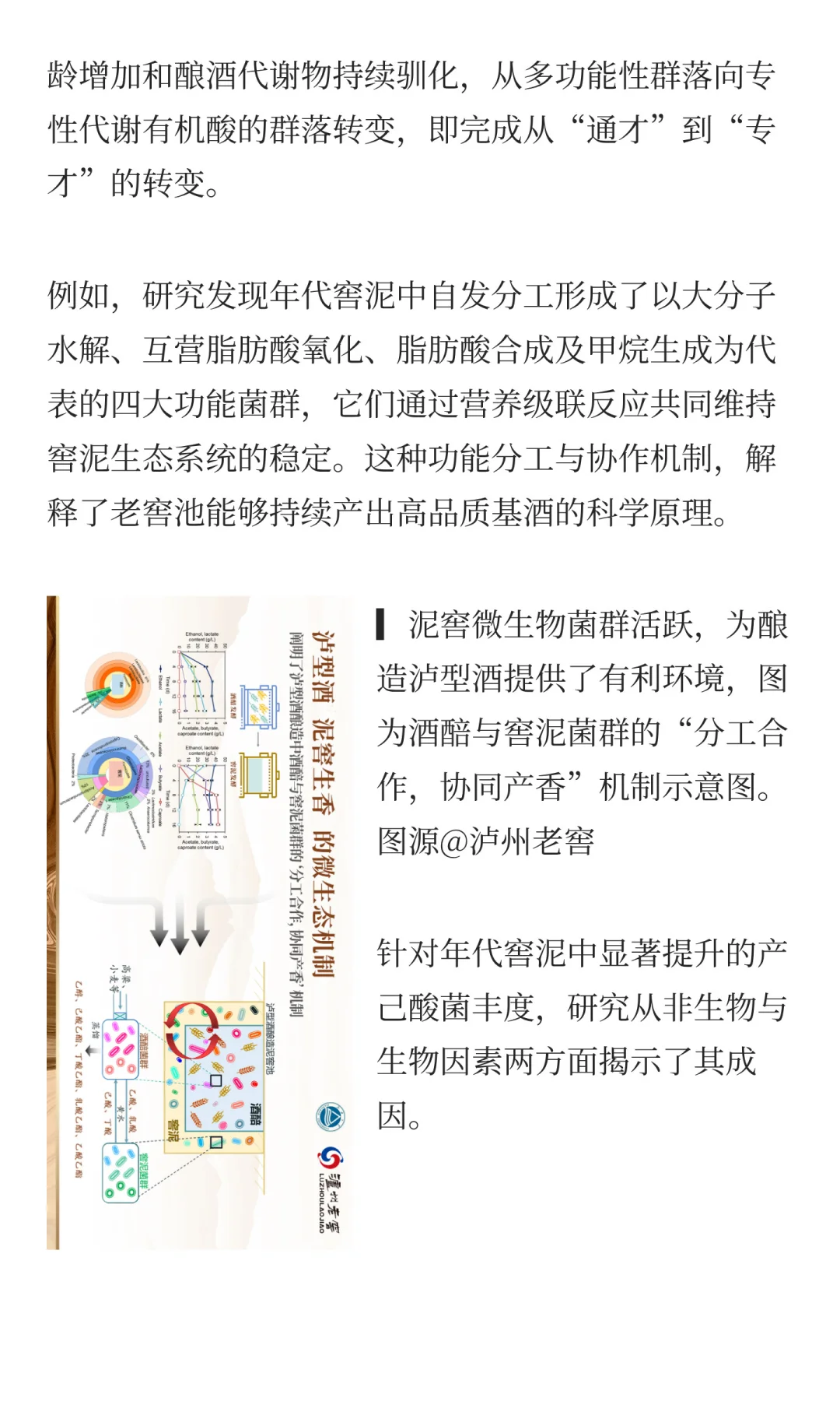 从窖泥生态到AI酿造，科技如何重塑发酵？