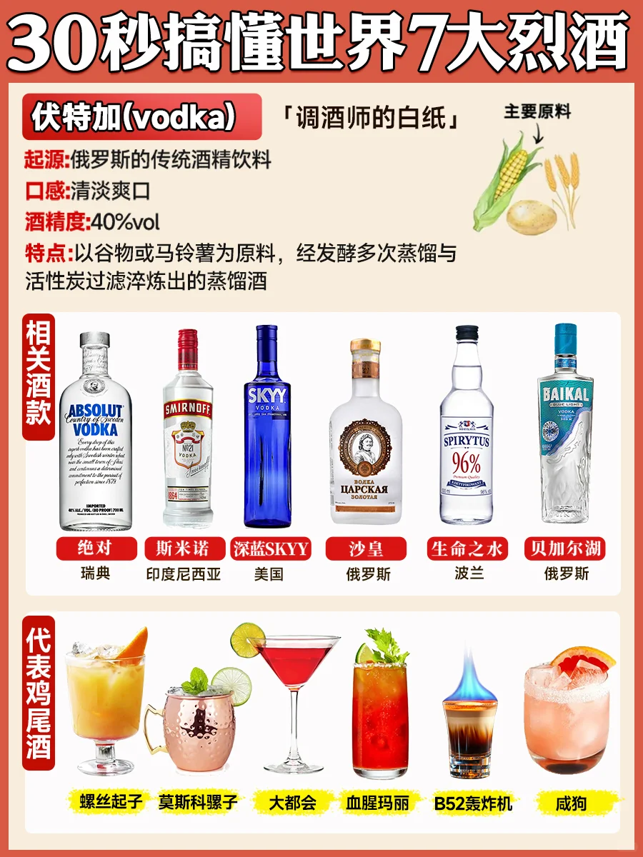 30秒搞懂世界7大烈酒 新手调酒必懂