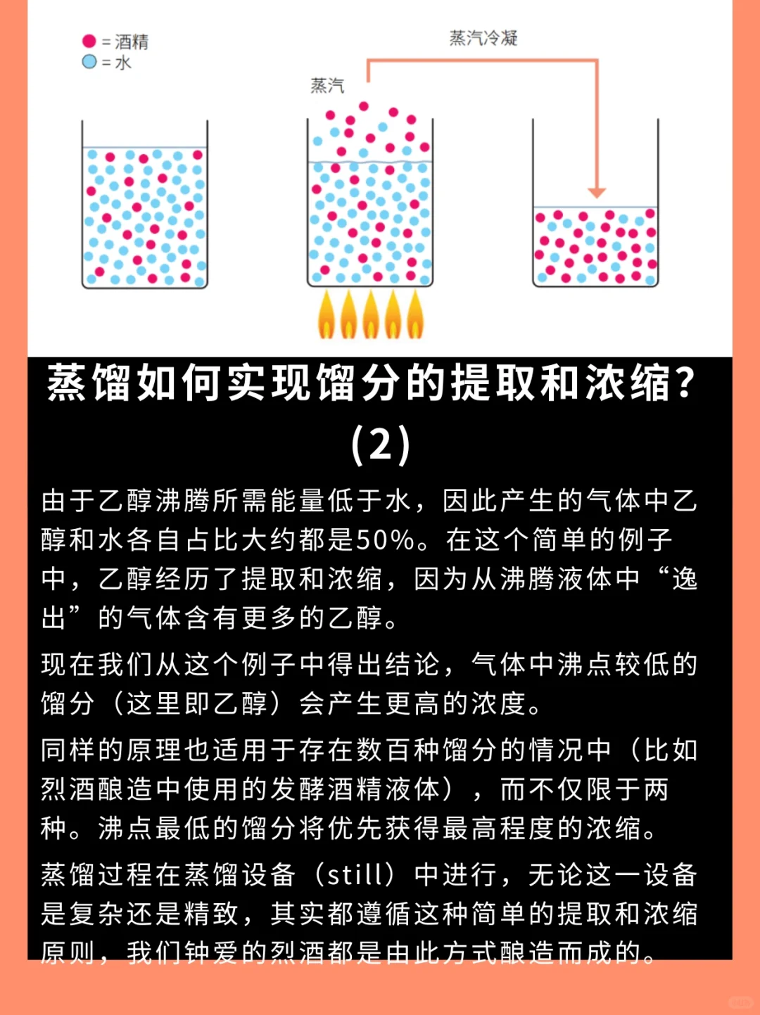 烈酒系列 | 解读蒸馏工艺的神奇力量