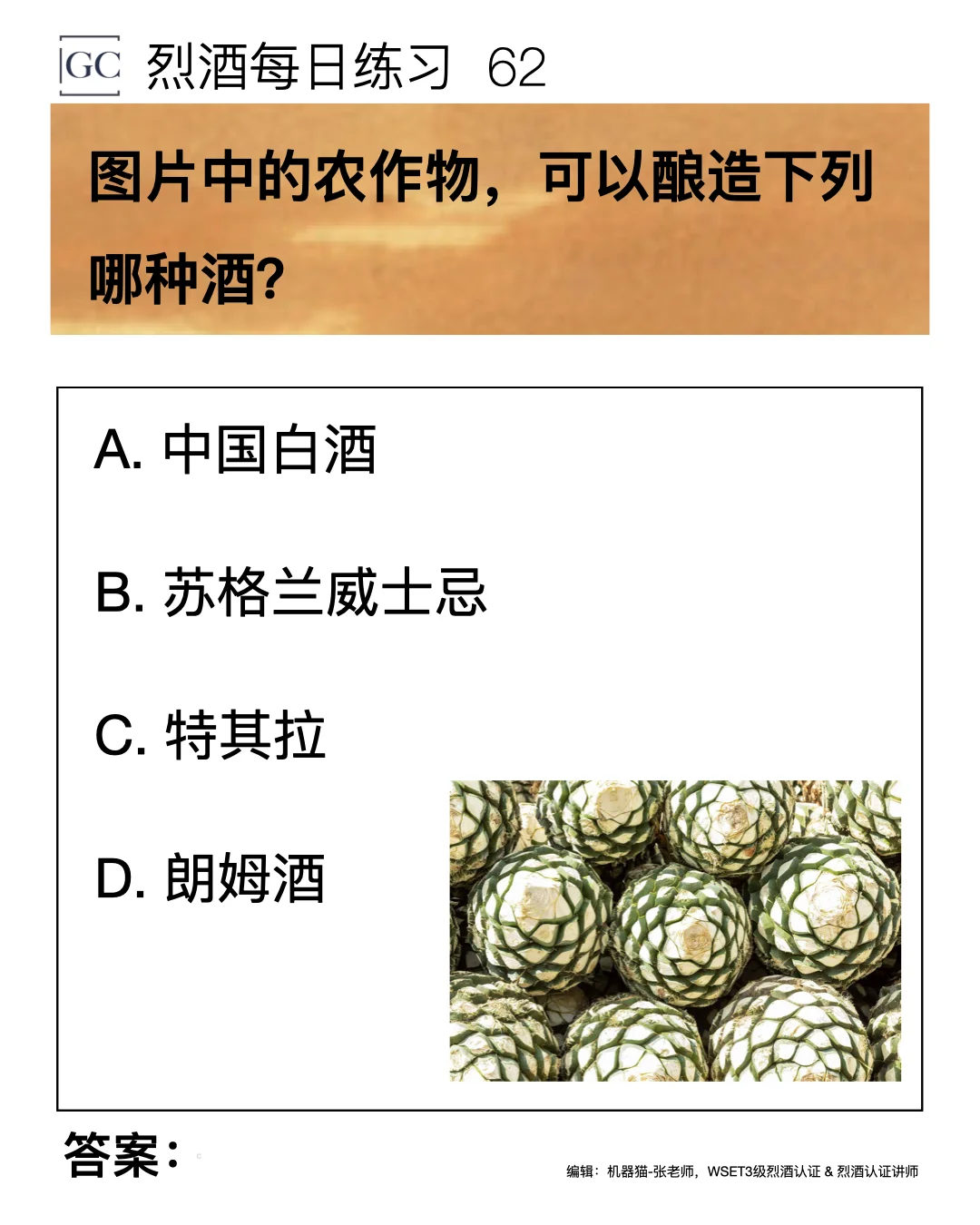62 图片中的农作物，可以酿造下列哪种酒？
