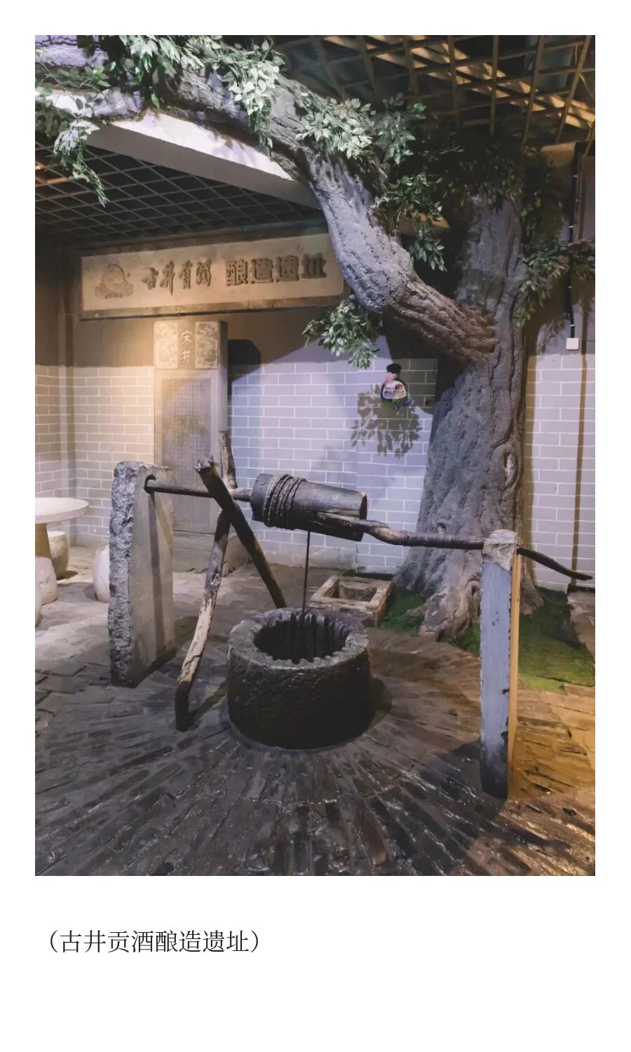 在安徽，读懂中国千年酒脉文化。