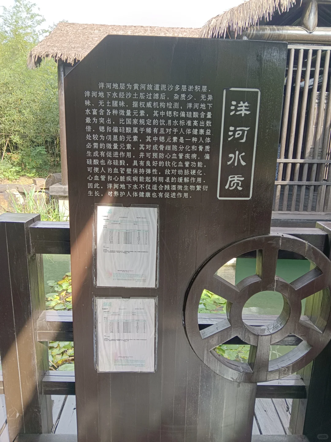 我在洋河酒厂品尝洋河大曲美人泉