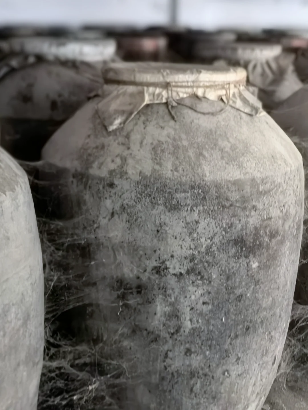 酱香型白酒的“灵魂”——大曲！