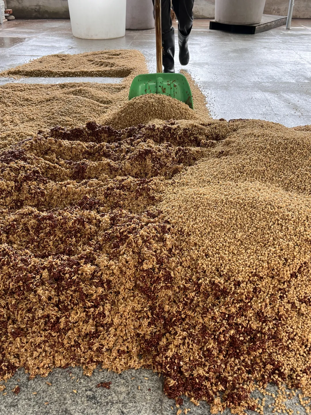 让你一饮而尽的美酒,少不了酿酒人努力