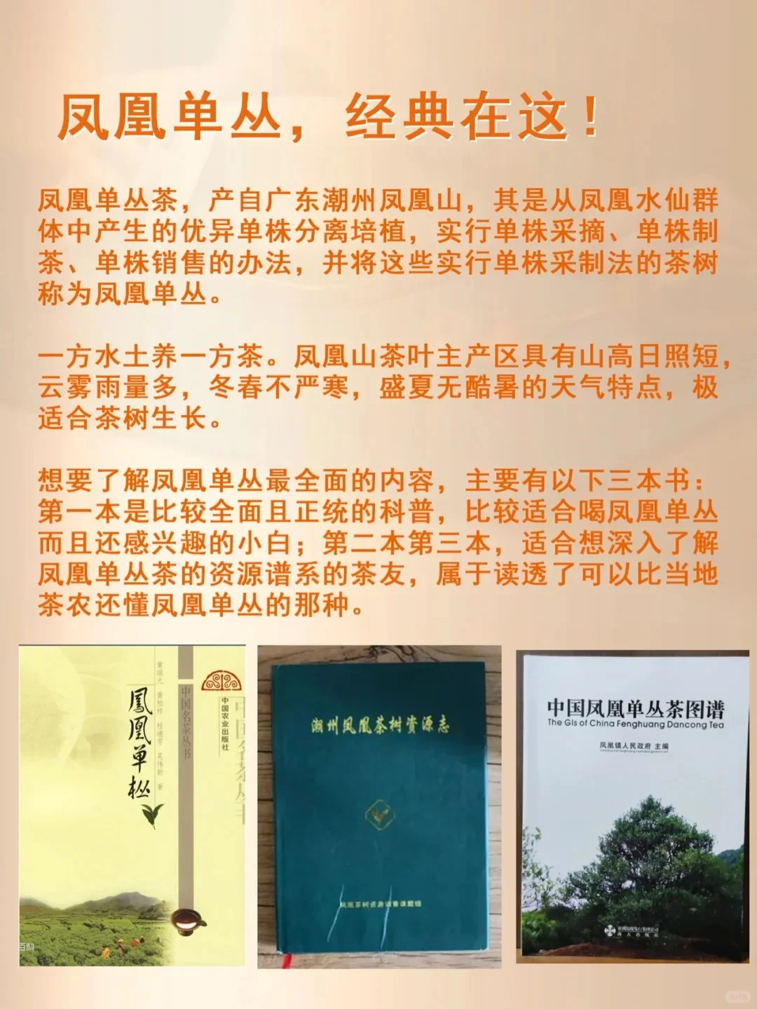 扫盲贴?凤凰单丛十大香型?