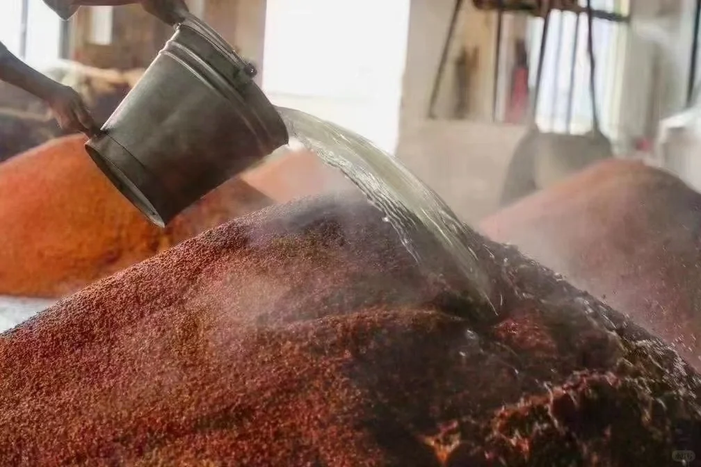 酱香型白酒为什么强调用“糯高粱”酿造？