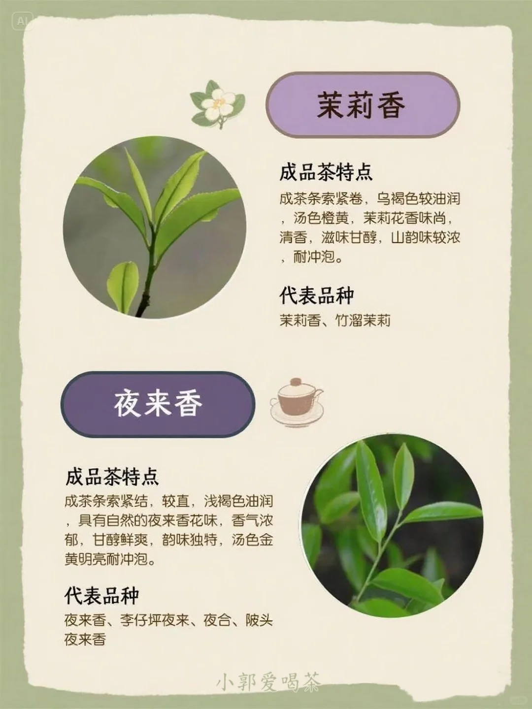 ? 一张图看懂凤凰单枞十大香型！