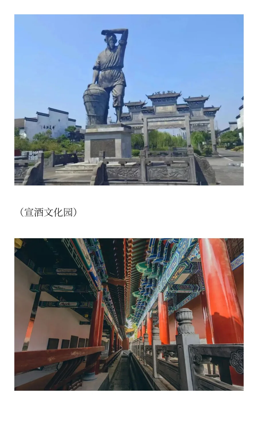 在安徽，读懂中国千年酒脉文化。